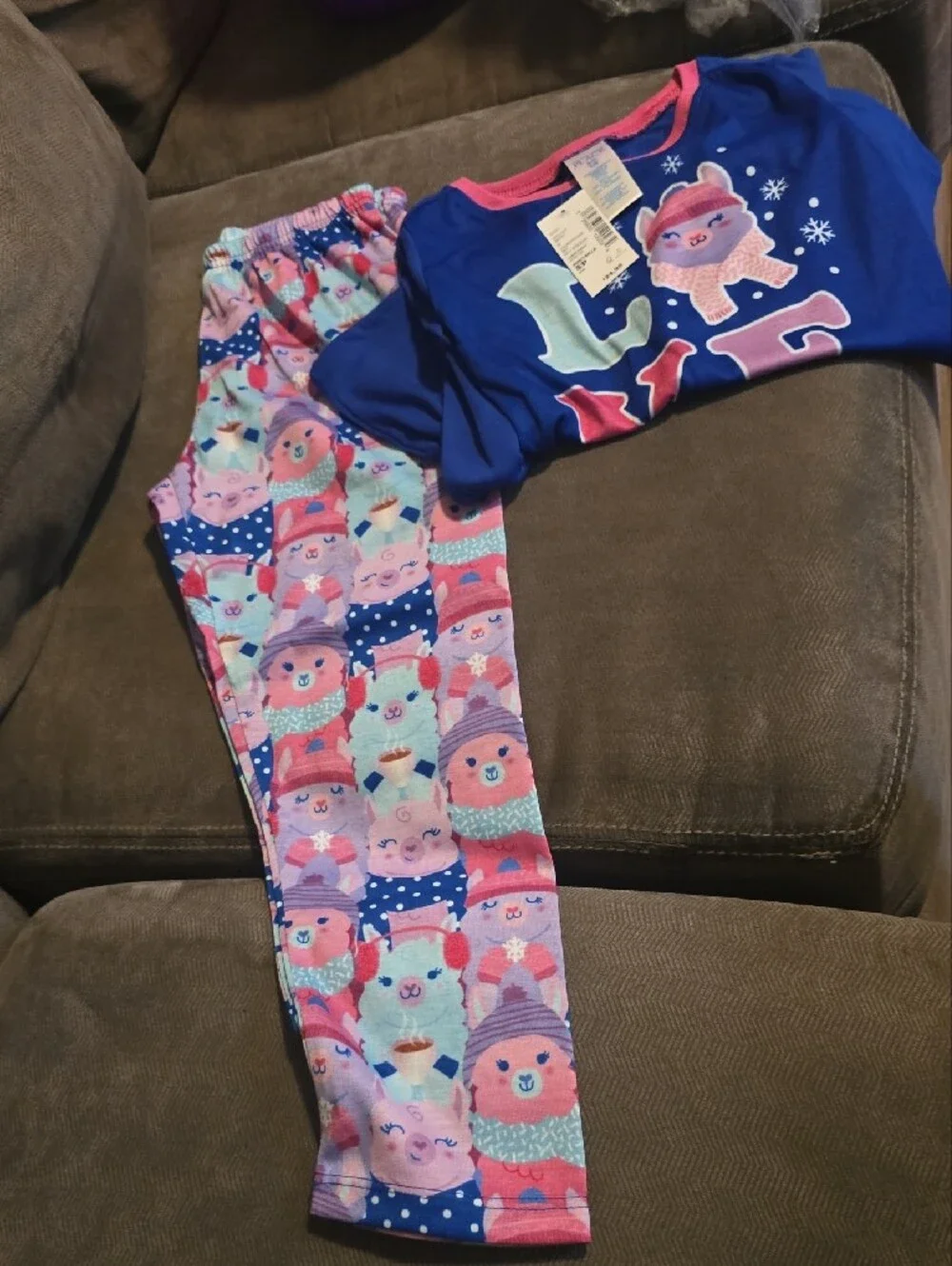 Childrens Place Blue and Pink Llama Pajama Set